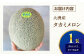 メロン めろん タカミ 小玉 こだま 貴味 青肉 果物 くだもの 旬 2025 フルーツ 高級 デザート 2玉 3玉 先行予約
