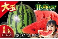 【先行予約】【6月中旬から順次発送】 祭りばやしスイカ 1玉入り（7kg〜10kg/玉） 愛媛県大洲市/にのみや農園 すいか スイカ 西瓜 フルーツ 果物 くだもの [AGDG005]