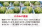 すいか スイカ 梅雨入り前スイカ 西瓜 果物 くだもの フルーツ ふるーつ 祭りばやし 祭り 大玉 初夏 春 甘い 人気 産直