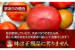 トマト とまと 大玉トマト 桃太郎 桃太郎ネクスト 野菜 やさい 春夏野菜 パスタ トマトジュース ジャム ハウス栽培 リコピン