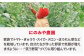 トマト とまと 大玉トマト 桃太郎 桃太郎ネクスト 野菜 やさい 春夏野菜 パスタ トマトジュース ジャム ハウス栽培 リコピン