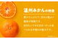 みかんジュース 100％ みかんジュース ストレート オレンジジュース 100％ ジュース 100％ みかん 贈答用
