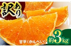 甘平【先行予約】【3月から順次発送】【ちょっと訳あり家庭用】甘平 約3kg [AGBW014] 甘平 訳あり みかん 訳あり 愛媛みかん 果物 訳あり フルーツ
