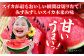 すいか スイカ 西瓜 くだもの フルーツ 果物 祭りばやし 祭り 夏 水分補給 熱中症対策 梅雨前出荷  贈答 ギフト 