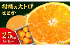 愛媛県産　せとか　2.5kg 愛媛県大洲市/株式会社フジ・アグリフーズ　柑橘 みかん せとか 果物 フルーツ [AGBA019] せとか セトカ 果物 くだもの フルーツ 柑橘 せとか 2.5kg みかん 愛媛みかん みかん ミカン 春くだもの 春フルーツ  