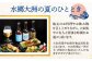 日本三大鵜飼 大洲のうかい 貸切 大型船 招待券（定員18名）市 鵜飼 観光 体験チケット 体験 イベント [AGDJ002]