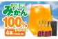 みかん ミカン オレンジ みかんジュース 100％ ミカンジュース 果物 フルーツ オレンジジュース 100％ 温州みかん