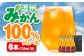 みかん ミカン  みかんジュース 100％ ミカンジュース 果物 フルーツ 100％ みかんジュース 果汁100% 