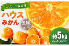 【先行予約】【7月上旬より順次発送】【ご家庭用】愛媛県産 峯田農園のあま〜い「ハウスみかん」5kg　大玉（M,L,2Lサイズ混合）愛媛県大洲市/峯田農園　 [AGBT020]