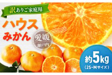 【先行予約】【7月上旬から順次発送】【ご家庭用】愛媛県産 峯田農園のあま〜い「ハウスみかん」5kg　小玉（2S,S,Mサイズ混合）愛媛県大洲市/峯田農園　 [AGBT021]