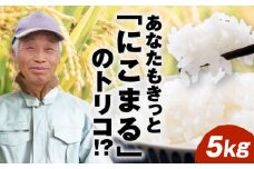 【先行予約】【10月下旬頃から順次発送】 令和7年産新米 にこまる 精米 5kg 愛媛県大洲市/重臣農園 お米 こめ 精米 白米 ごはん [AGDM001]