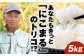 こめ 新米 お米 ご飯 おにぎり ごはん 白米 野菜 和食 おコメ 日本食 おこめ 国産 にこまる 5kg 5キロ 令和7年産