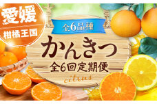 【全6回定期便】 【2025年11月以降毎月発送】えひめかんきつ定期便 愛媛県大洲市/愛媛県観光物産協会 みかん 日の丸ゴールド 紅まどんな 伊予柑 デコポン せとか 河内晩柑 [AGDN001]
