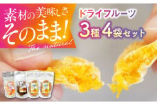 ドライフルーツ3種（ポンカン・栗・柿）4袋セット　愛媛県大洲市/愛媛たいき農業協同組合加工部 ドライフルーツ 果物 JA 果物 くだもの [AGAQ004]