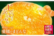 【先行予約】【11月下旬から順次発送】愛媛県産 峯田農園のとろける宝石柑橘「まどんな」Lサイズ 15玉（約3kg）　愛媛県大洲市/峯田農園 [AGBT022]