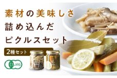 ピクルスセット 2個入り 愛媛県大洲市/iino assemble | ピクルス 野菜 詰め合わせ セット 加工食品 漬物 [AGAA014]