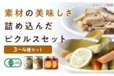 ピクルスセット 4個入り 愛媛県大洲市/iino assemble | ピクルス 野菜 詰め合わせ セット 加工食品 漬物 [AGAA015]