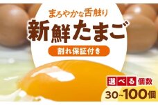 平飼い 海草たまご 10パック（100個入り）割れ保証あり 愛媛県大洲市/和田養鶏場 卵 たまご 卵 鶏卵 たまご 玉子 タマゴ エッグ 生卵 国産 卵焼き 卵料理 卵かけご飯 たまごかけご飯 温泉卵 ゆでたまご 朝食 夕食 夜ご飯 おかず 栄養満点 割れ保証 [AGDQ004]