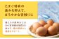 卵 鶏卵 たまご 玉子 タマゴ エッグ 生卵 国産 卵焼き 卵料理 卵かけご飯 たまごかけご飯 温泉卵 ゆでたまご 割れ保証
