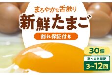 【全6回定期便】卵 平飼い 海草たまご 3パック（30個入り）割れ保証あり 愛媛県大洲市/和田養鶏場 卵 定期便 たまご 卵 鶏卵 たまご 玉子 タマゴ エッグ 生卵 国産 卵焼き 卵料理 卵かけご飯 たまごかけご飯 温泉卵 ゆでたまご 朝食 夕食 夜ご飯 おかず 栄養満点 割れ保証 [AGDQ006]