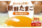 卵 鶏卵 たまご 玉子 タマゴ エッグ 生卵 国産 卵焼き 卵料理 卵かけご飯 たまごかけご飯 温泉卵 ゆでたまご 割れ保証