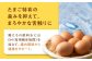卵 鶏卵 たまご 玉子 タマゴ エッグ 生卵 国産 卵焼き 卵料理 卵かけご飯 たまごかけご飯 温泉卵 ゆでたまご 割れ保証