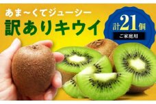 【ご家庭用】キウイフルーツ ヘイワード 18個 甘熟パック入り 愛媛県大洲市/西村農園 キウイ 果物 くだもの フルーツ 訳アリ [AGDC007]