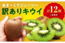 【ご家庭用】キウイフルーツ ヘイワード 10個 甘熟パック入り 愛媛県大洲市/西村農園 キウイ 果物 くだもの フルーツ 訳アリ [AGDC006]