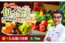 【シェフの目線】　野菜×フルーツセット 6から7種　単身・二人暮らし用セット　愛媛県大洲市/有限会社ヒロファミリーフーズ 野菜 果物 やさい 少量セット 食べきり [AGBX047]