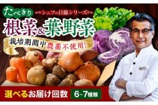 【シェフの目線】　根菜×葉野菜 6から7種　単身・二人暮らし用セット　愛媛県大洲市/有限会社ヒロファミリーフーズ 野菜 果物 やさい 少量セット 食べきり [AGBX051]