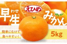 【先行予約】【11月中旬から順次発送】温州みかん（早生）　5kg　愛媛県大洲市/永沼農園 果物 フルーツ 愛媛みかん [AGAW016]