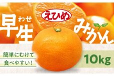 【先行予約】【11月中旬から順次発送】温州みかん（早生）　10kg　愛媛県大洲市/永沼農園 果物 フルーツ 愛媛みかん [AGAW017]