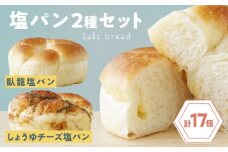 【冷凍】大洲の塩パン 2種 計17個セット 愛媛県大洲市/株式会社アライ[AGAY057] パン 塩パン しおぱん  ぱん 食パン 朝食 昼食 夕食 菓子パン 総菜パン おすすめ 人気 お取り寄せ 送料無料 贈答 ギフト