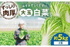 【先行予約】　【11月下旬から順次発送】 白菜 3Lサイズ×2玉（約5kg） 愛媛県大洲市/ふじた農園 [AGDH007] 白菜 はくさい ハクサイ 野菜 やさい 新鮮 新鮮野菜 愛媛県産 大洲市産 産地直送 おすすめ 人気 お取り寄せ 送料無料 贈答 ギフト