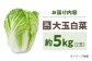 白菜5キロ　2玉