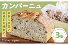 　【冷凍】カンパーニュ3種セット (プレーン・いちじく・五穀) 愛媛県大洲市/株式会社アライ 冷凍パン ハードパン 食事パン 朝食 ベーカリー 冷凍 [AGAY050]