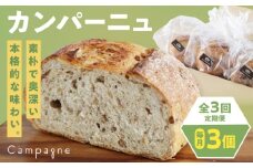 【全3回定期便】【冷凍】　カンパーニュ3種セット (プレーン・いちじく・五穀) 愛媛県大洲市/株式会社アライ 冷凍パン ハードパン 食事パン 朝食 ベーカリー 冷凍 [AGAY051]