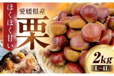 【先行予約】【9月下旬から順次発送】栗2kg（L～4Lサイズ）　愛媛県大洲市/株式会社フジ・アグリフーズ　栗 くり 果物 秋果物 フルーツ [AGBA022]栗 テリーヌ 甘露煮 栗ごはん 栗の渋皮煮 秋の味覚 くり 和菓子 栗ご飯 栗きんとん スイーツ クリ モンブラン マロン