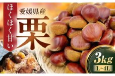 【先行予約】【9月下旬から順次発送】栗3kg（L～4Lサイズ）　愛媛県大洲市/株式会社フジ・アグリフーズ　栗 くり 果物 秋果物 フルーツ [AGBA023]栗 テリーヌ 甘露煮 栗ごはん 栗の渋皮煮 秋の味覚 くり 和菓子 栗ご飯 栗きんとん スイーツ クリ モンブラン マロン
