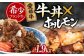 牛丼 牛肉 和牛 牛 国産 人気 おすすめ 簡単 おいしい お肉 肉 焼肉 お取り寄せ ホルモン 冷凍 焼き肉 簡単調理