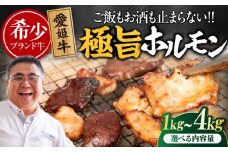 【冷凍】 愛姫牛 肉屋のこだわりお惣菜 タレ漬けミックスホルモン 500g×6パック 3kg 愛媛県大洲市/有限会社 木村屋精肉店 牛丼 牛肉 和牛 牛 国産 [AGCC070]国産和牛 愛媛県産 大洲市産 人気 おすすめ ランキング 簡単 おいしい お肉 肉 国産肉 焼肉 送料無料 お取り寄せ グルメ ホルモン 冷凍 焼き肉 BBQ バーベキュー ホルモン焼きそば ホルモン炒め