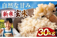 【令和7年産】【新米】玄米 30kg 愛媛県大洲市/よっちゃん農園 げんまい 玄米 おこめ コメ [AGEI001]