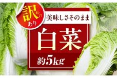 【12月上旬から順次配送】　や！サライ　訳あり白菜 約5kg（3玉から4玉） 愛媛県大洲市/農事組合法人やさらい [AGEK001]