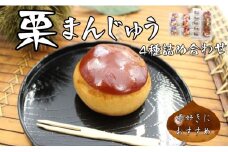 栗まんじゅう 詰め合わせ 4種 ギフト 16個入り セット まんじゅう屋久保 栗まん 栗パイ 栗の里  | B39