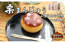 栗まんじゅう 詰め合わせ 4種 ギフト 16個入り セット まんじゅう屋久保 栗まん 栗パイ 栗の里  | B39