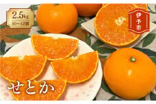 みかん 愛媛 せとか（2.5kg） 人気 数量限定 先行予約 柑橘 伊予市｜D06