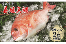 鯛 愛媛 愛媛県産養殖真鯛フィレ2枚（お頭付き冷凍）送料無料 宇和海 養殖 海の幸 海鮮 真鯛 お頭付き フィレ ロイン 冷凍 HACCP認定 新鮮 生食 刺身 伊予市｜B10
