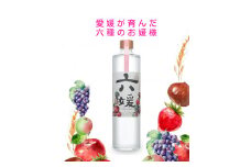 道後ジン 六媛　クラフトジン　スピリッツ　愛媛県産　ボタニカル　500ml｜C02