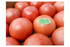 トマト 果肉 くぼなか農園 なつかしの旨味 桃太郎８トマト 約４kg 桃太郎 昔ながら 果肉多い 伊予市｜B19