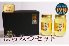 【2023年12月末以降発送】藤田養蜂場 はちみつ びわ蜜×２本｜B38